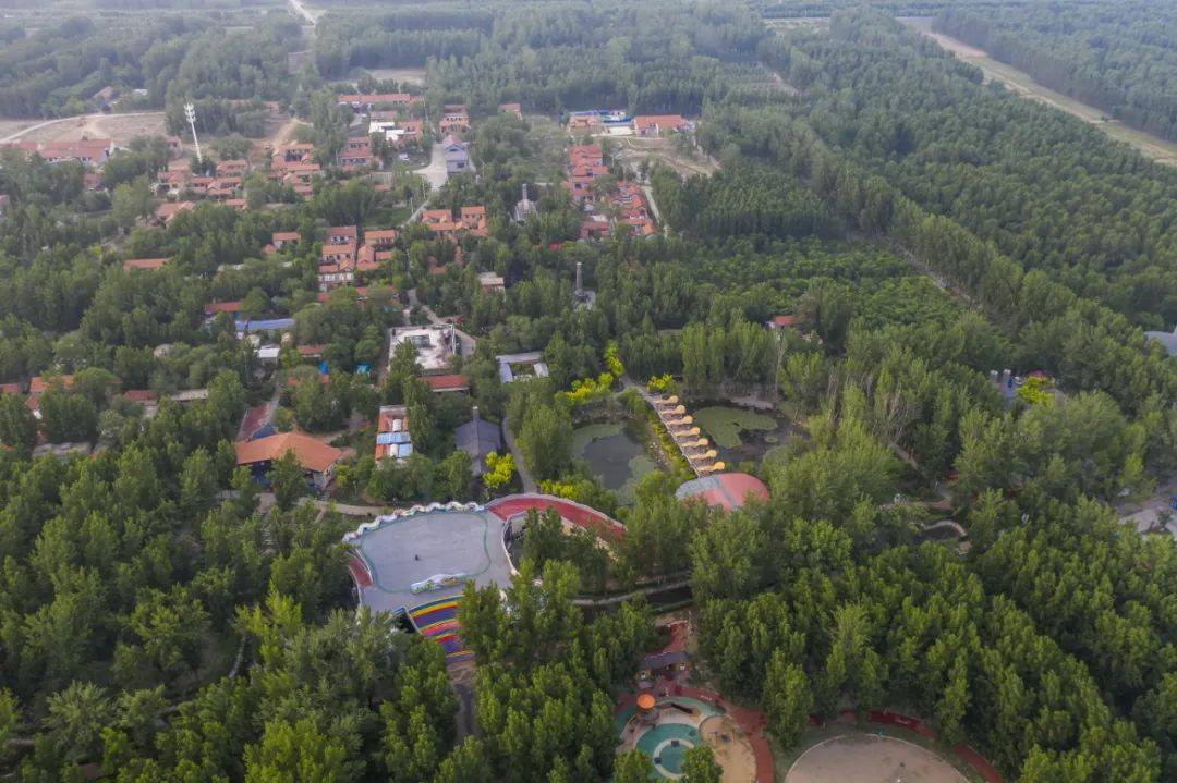 滨州西纸坊61黄河古村 | 体验鲁北乡村魅力,黄河古渡风情_陶瓷_景区