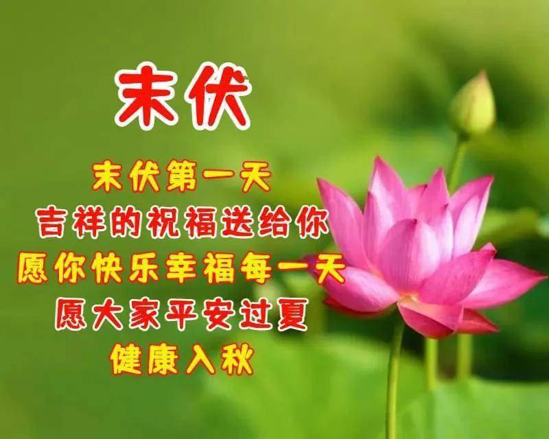 今日末伏 祝福吉祥如意幸福快乐_生活_阳光_时刻