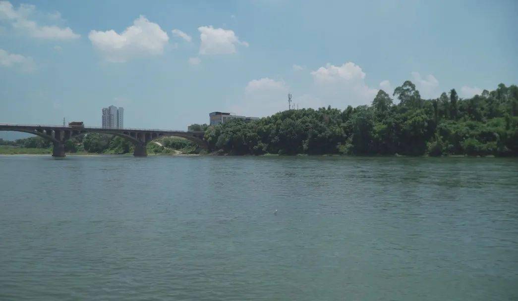 信都镇开展河道老旧船舶清理整治行动_餐饮_工作_进行