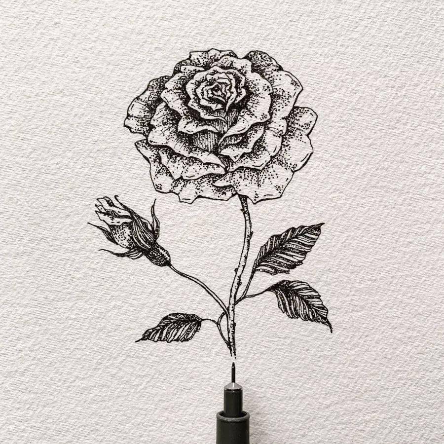 史上点赞最高的手绘线描素材,收藏这一波,连书籍都不用买了!