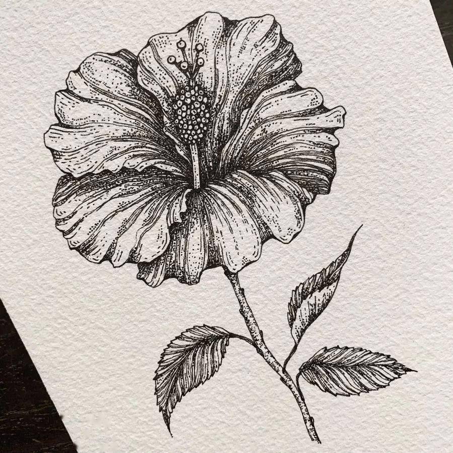 史上点赞最高的手绘线描素材,收藏这一波,连书籍都不用买了!