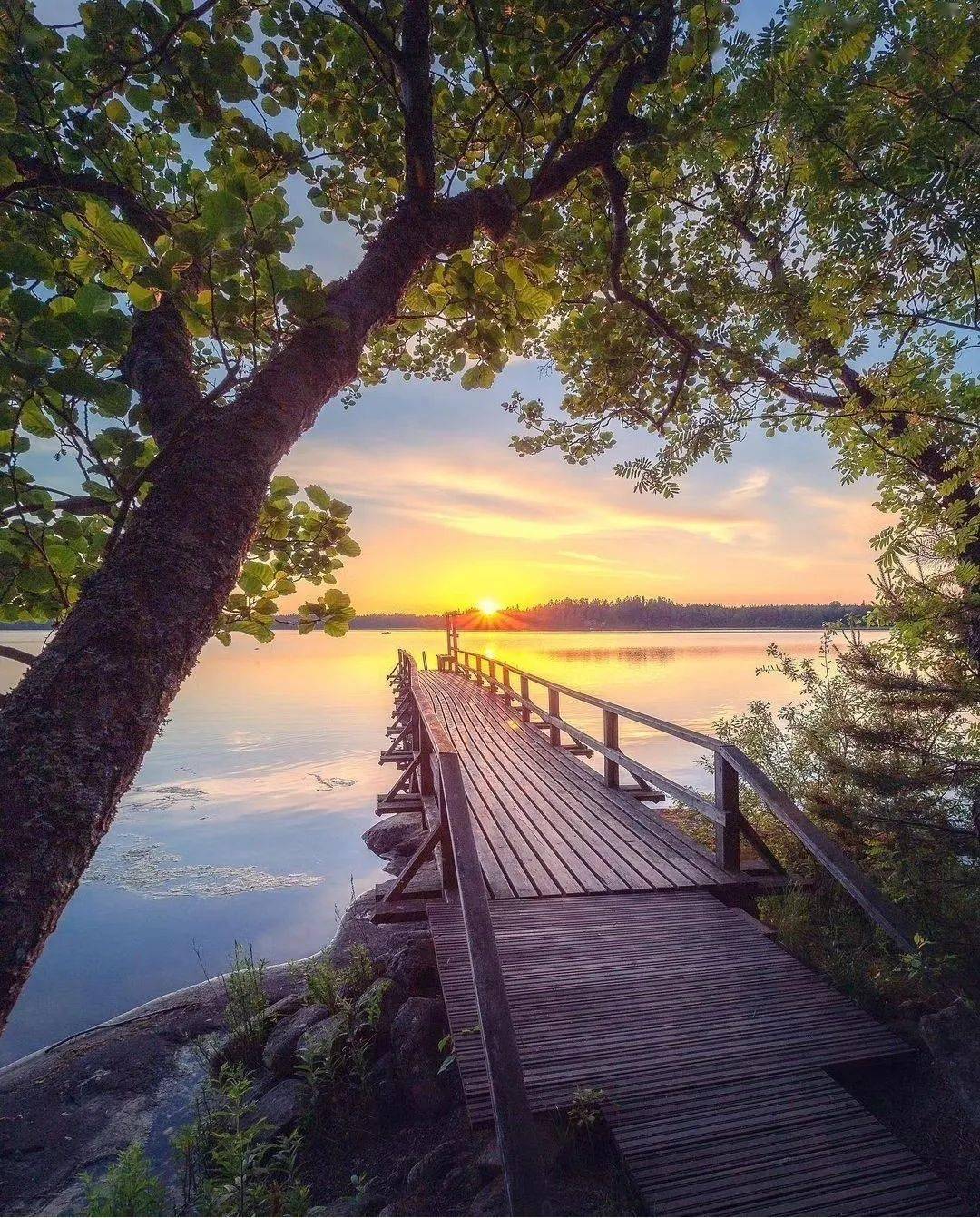 树下,迷人的画卷_气息_大自然_风景