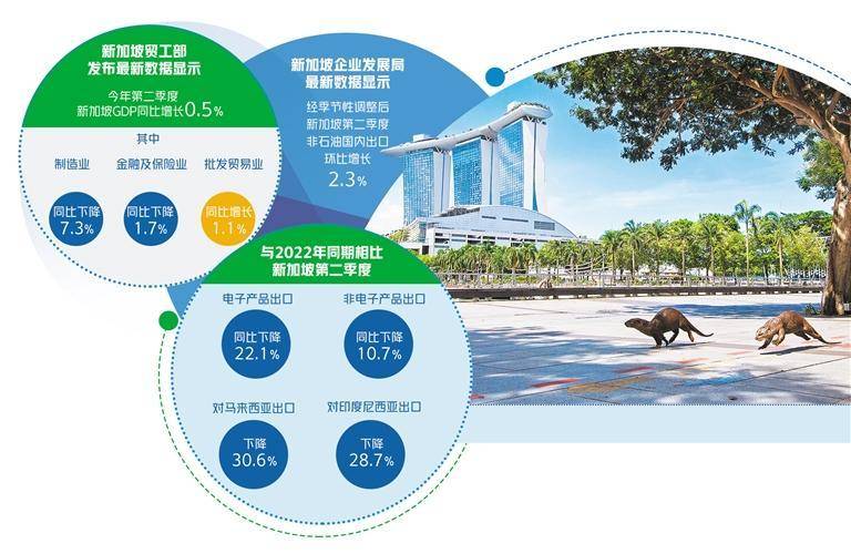 新加坡经济增长不及预期_贸易_出口_同比增长