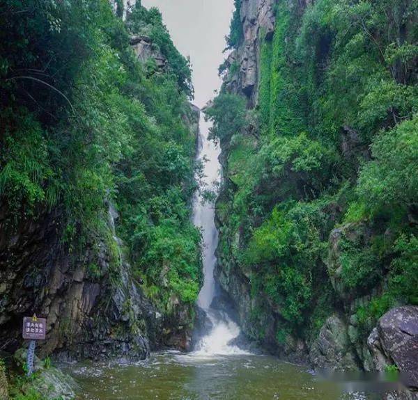 无门票标准:行程中所列门票服务标准:优秀导游包含项目:连岛小交通