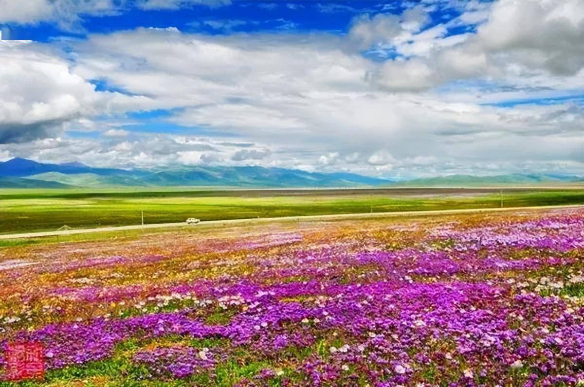 毛垭大草原(理塘)章德大草原(巴塘县措普沟)龙灯草原(道孚县)八美草原