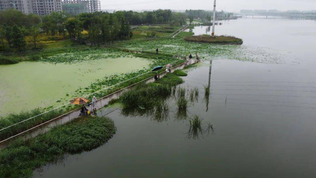 "大美上蔡"影像大奖赛作品展|雨后杜诗公园(z002)