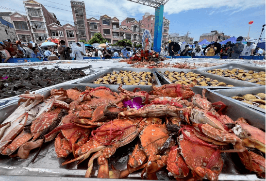 活蹦乱跳的螃蟹巴掌这么大的生蚝快来看看这次有哪些生猛海鲜上岸吧