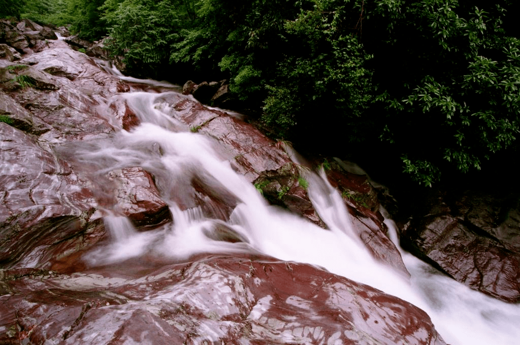 风景的自己释放压力,畅快呼吸,我们在仙寓山等你秋在仙寓山安徽·石台