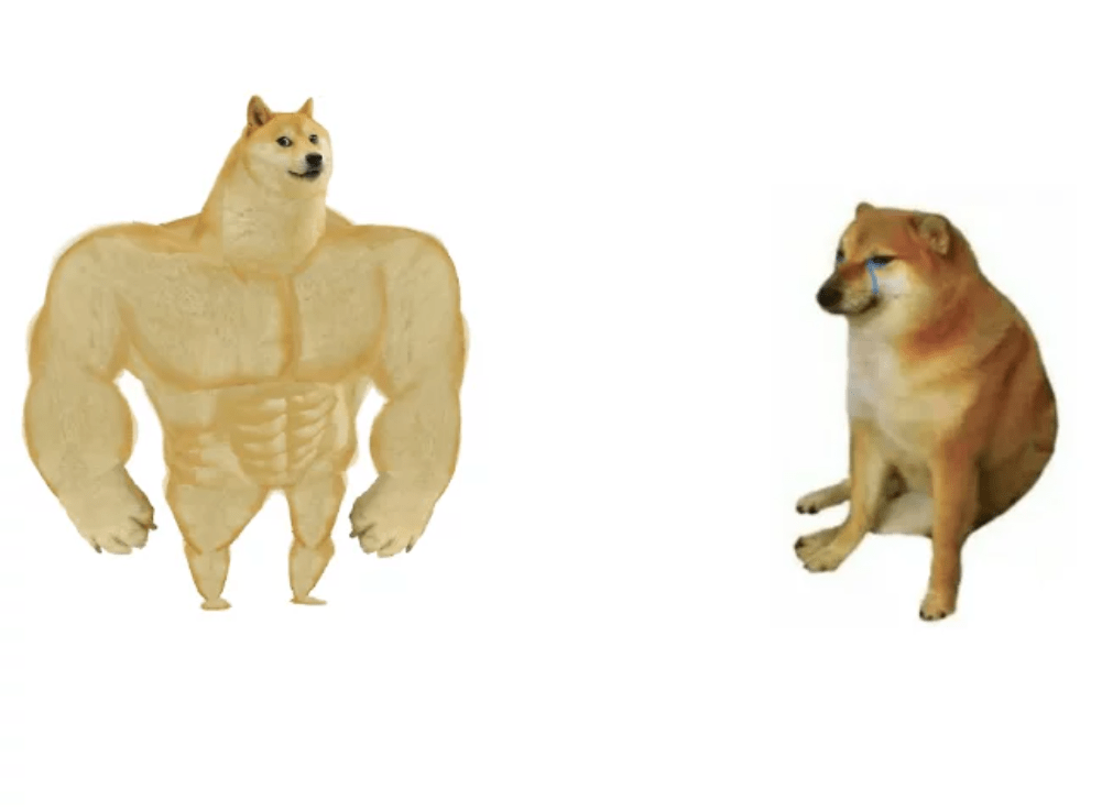 balltze 的主人今日在 ig 上发文宣布它在一场手术