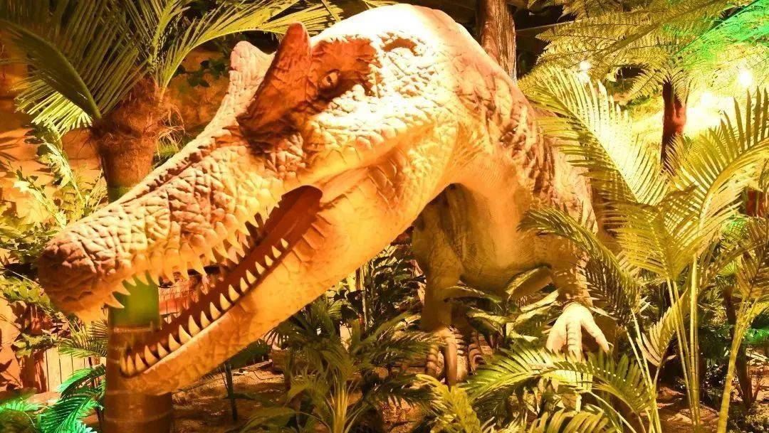 【全攻略】哈尔滨极地公园官方打卡攻略来咯~_企鹅_恐龙_水母