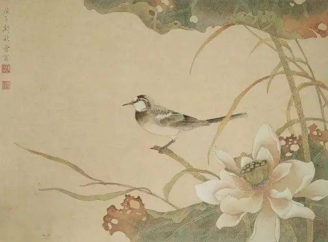 陈之佛画荷，恰似长日香风吹过_搜狐网