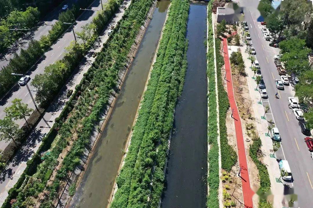 这条河道变身城市彩带……_治理_工程_建设