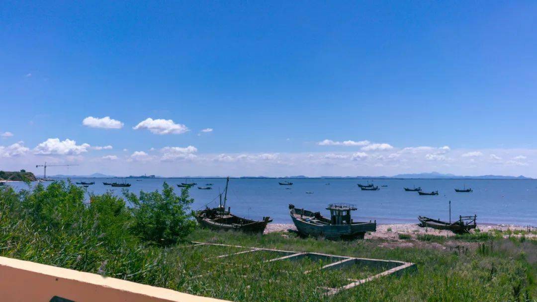 "e路有我爱大连" 走进长兴岛