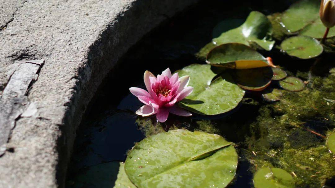 午睡,养神,养气,养筋_时间_人体_子时