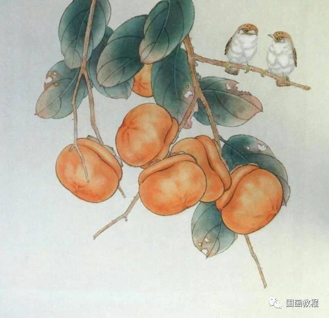 【国画教程】工笔柿子《事事如意》分步画法教程_颜色_白描_结构