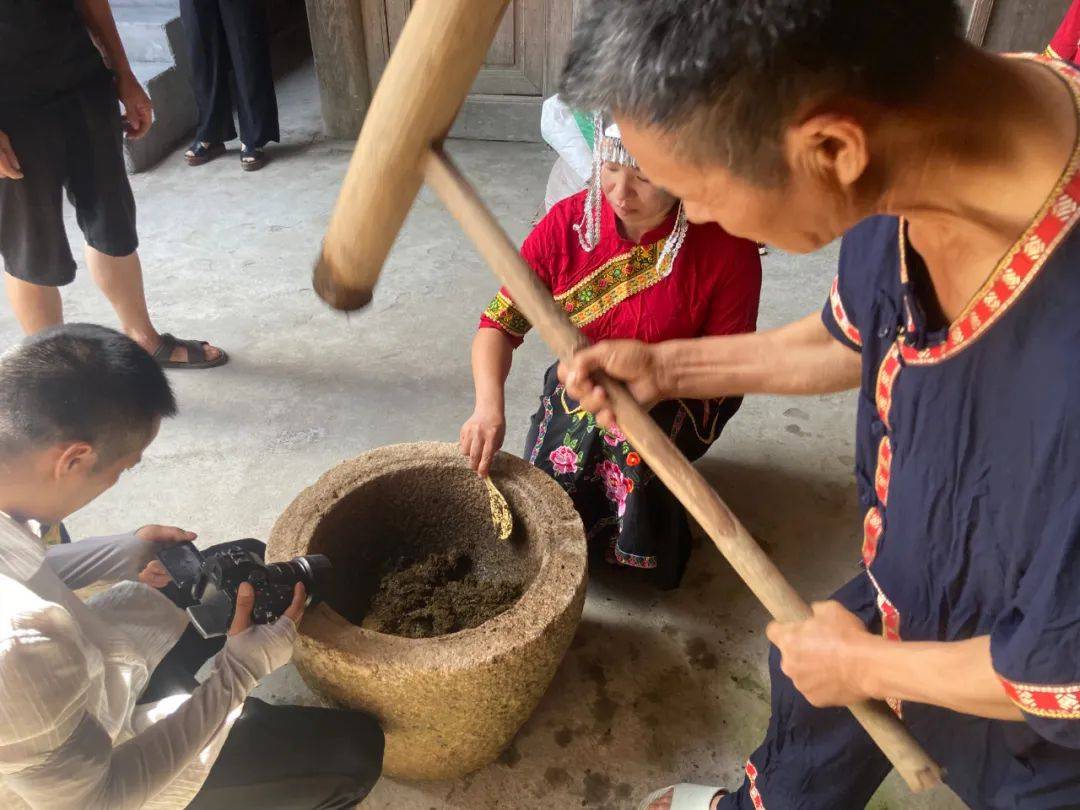 畲族乌米饭制作过程图片