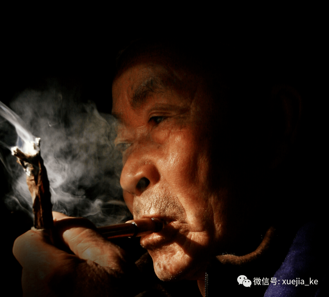 缅甸的平头雪茄和四川的叶子烟并不一样_烟叶_平尾_口味