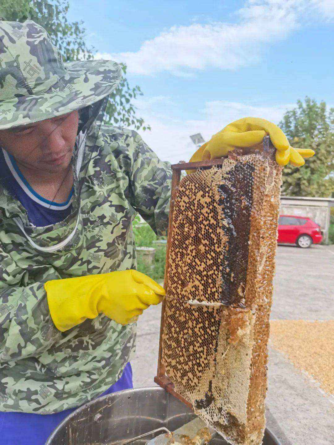 【乡村振兴在路上】驻村第一书记曾勇的"甜蜜"生活_永和村_蜜蜂_务川