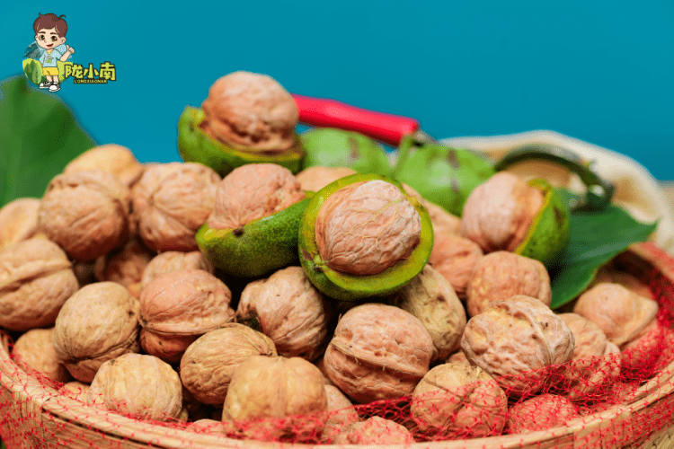 鲜脆爽口的陇南去青皮鲜核桃,5斤大果装送核桃夹,包邮到家!