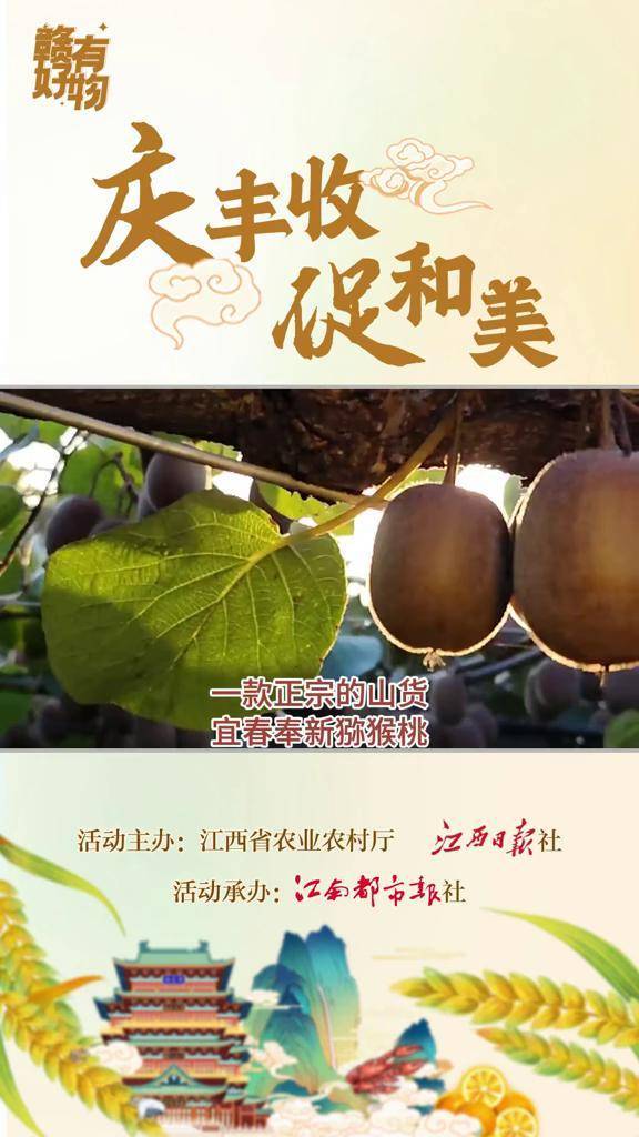 "看起来太好吃了"果肉金黄,柔嫩多汁的奉新猕猴桃令人垂涎欲滴#赣有好