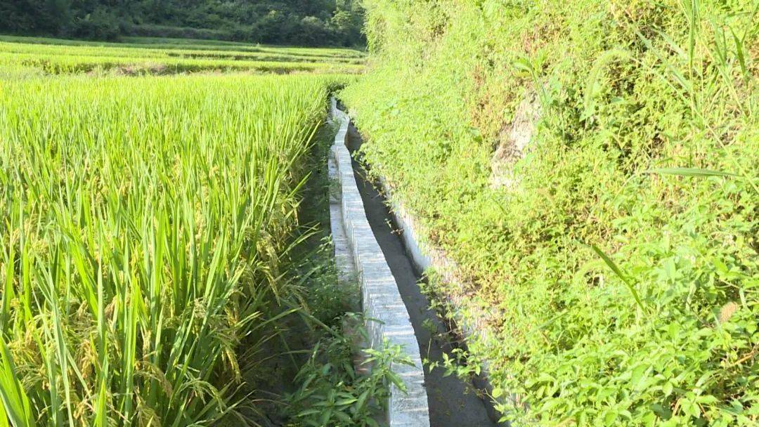 据了解,自2021年起,三穗县烟草局陆续对坪亚村进行资金帮扶共27.