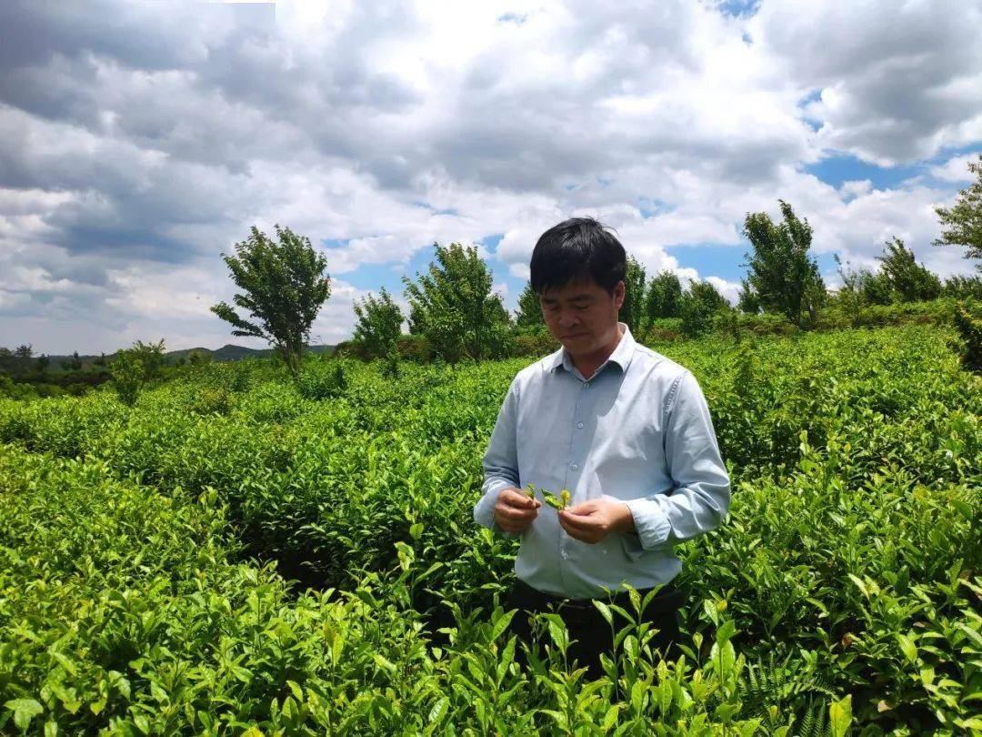 "这是来自水城区龙场乡发堤村的区人大代表黄照祥时常挂在嘴边的一句