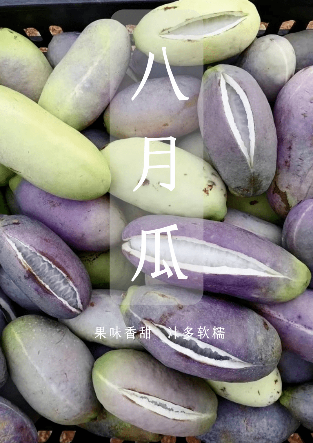 米汤果"每年七八月份一串串红艳艳的果实出现在山野马关人通常形象的