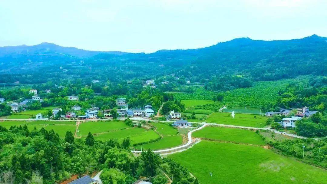 龙形镇:努力建设和美乡村产业强镇_发展_服务_潼南