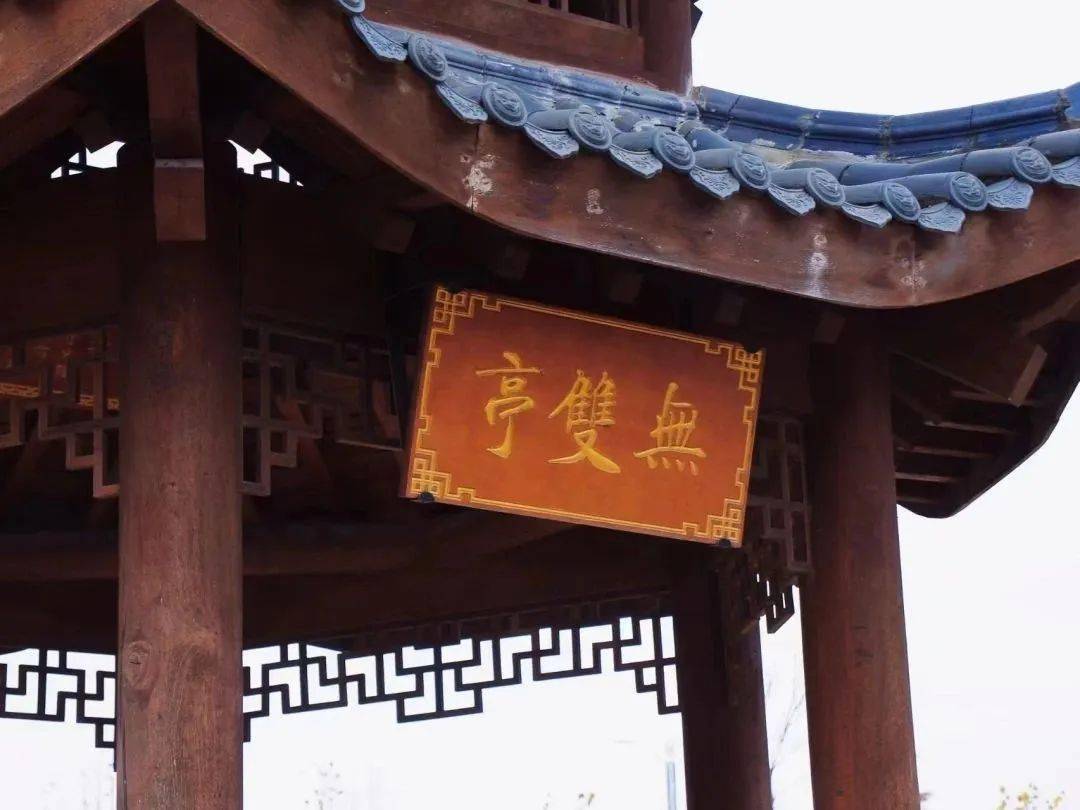 这里是学院的荷塘景园基地这里郁郁葱葱,芳香四溢一花一木都是农商青