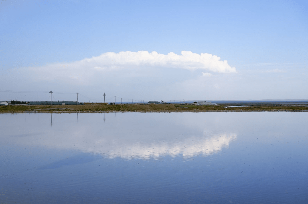 仅额吉淖尔盐湖每年产盐15万吨!_生产_草原_区内