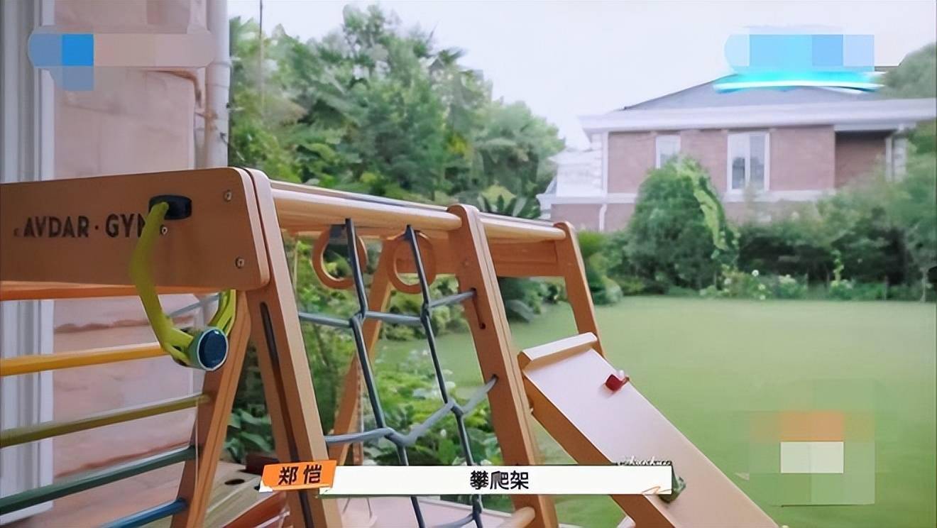 郑恺2岁女儿综艺首曝光!