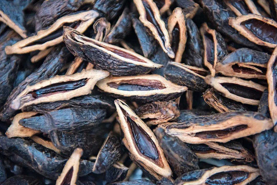 槟榔主要在我国南方有种植,比如海南,云南,福建,台湾等地区.