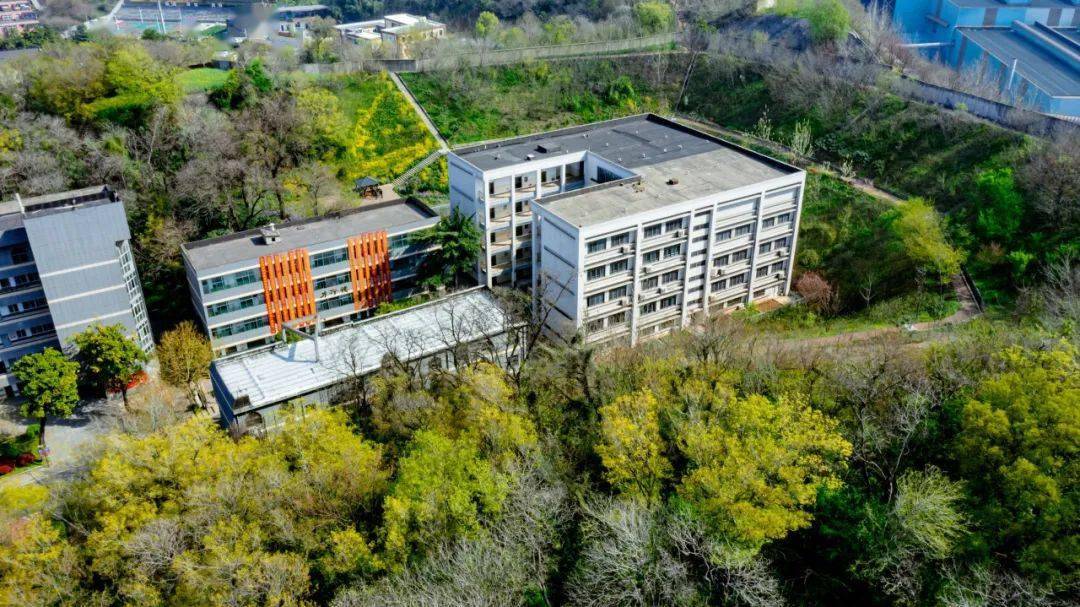 一起来看看九龙中学的劳动教育~_品格_版权_美的