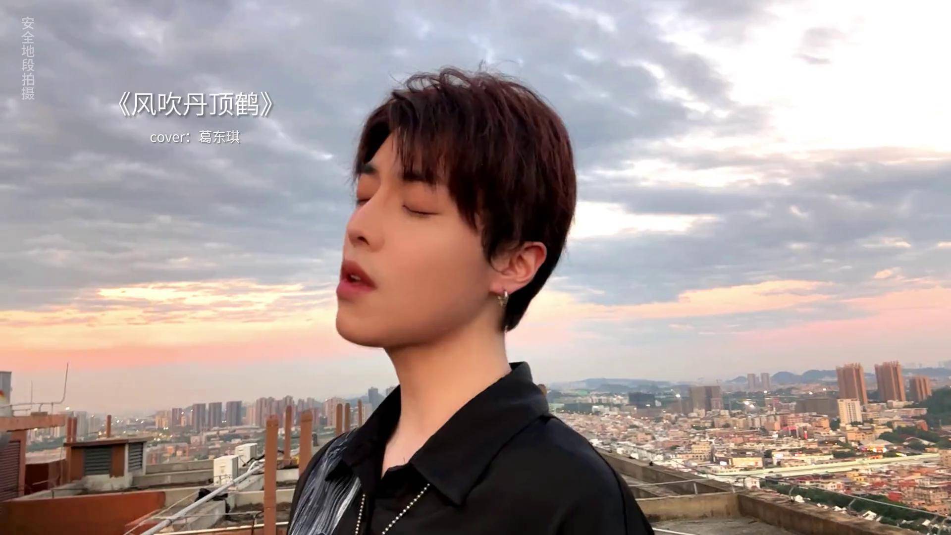 晴空一鹤排云上,便引诗情到碧霄葛东琪风吹丹顶鹤风吹丹顶鹤葛东琪