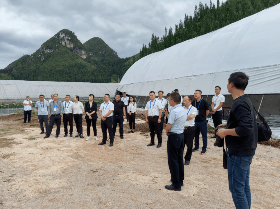 安顺市第三次spv农业产业项目现场观摩团赴镇宁自治县马厂镇花卉种植