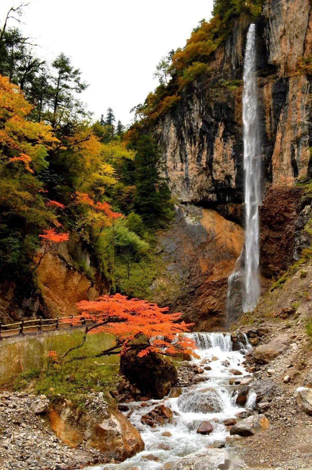 官鹅沟→初秋入场券_夏末_落叶_山水