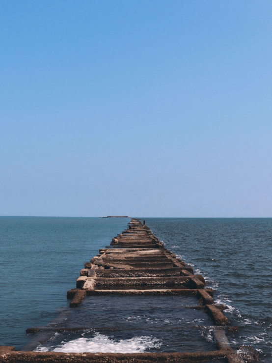 这个超低调的海边小城,藏着北方最悠闲的海!_东营_黄河_入海