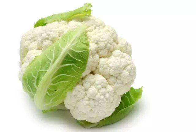 一些你不大能说出英文名的蔬菜_gourd_lettuce_sea