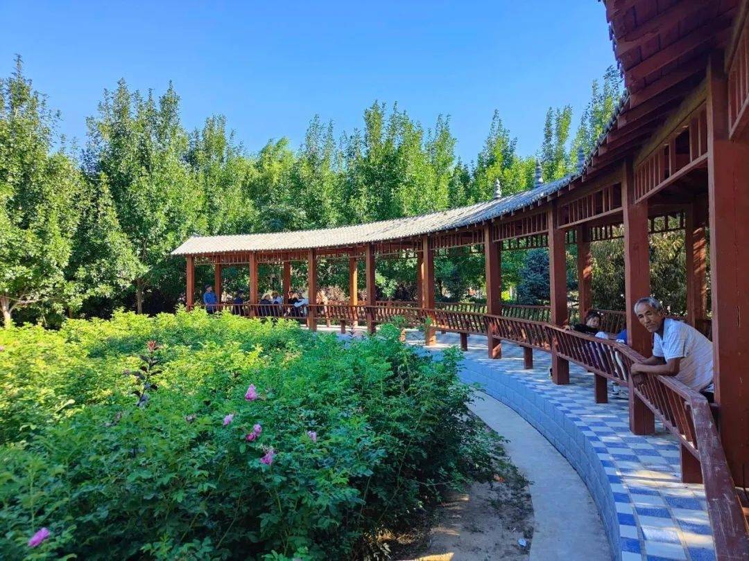 北湾镇富坪村:东西协作谱新篇 美丽乡村"焕新颜"_产业_发展_建设