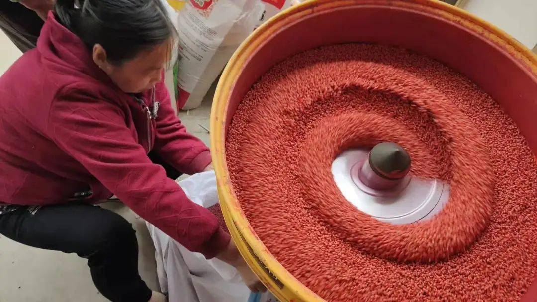 拌种小能手,为什么很多拌种剂都偏爱它?_处理_防治_种子