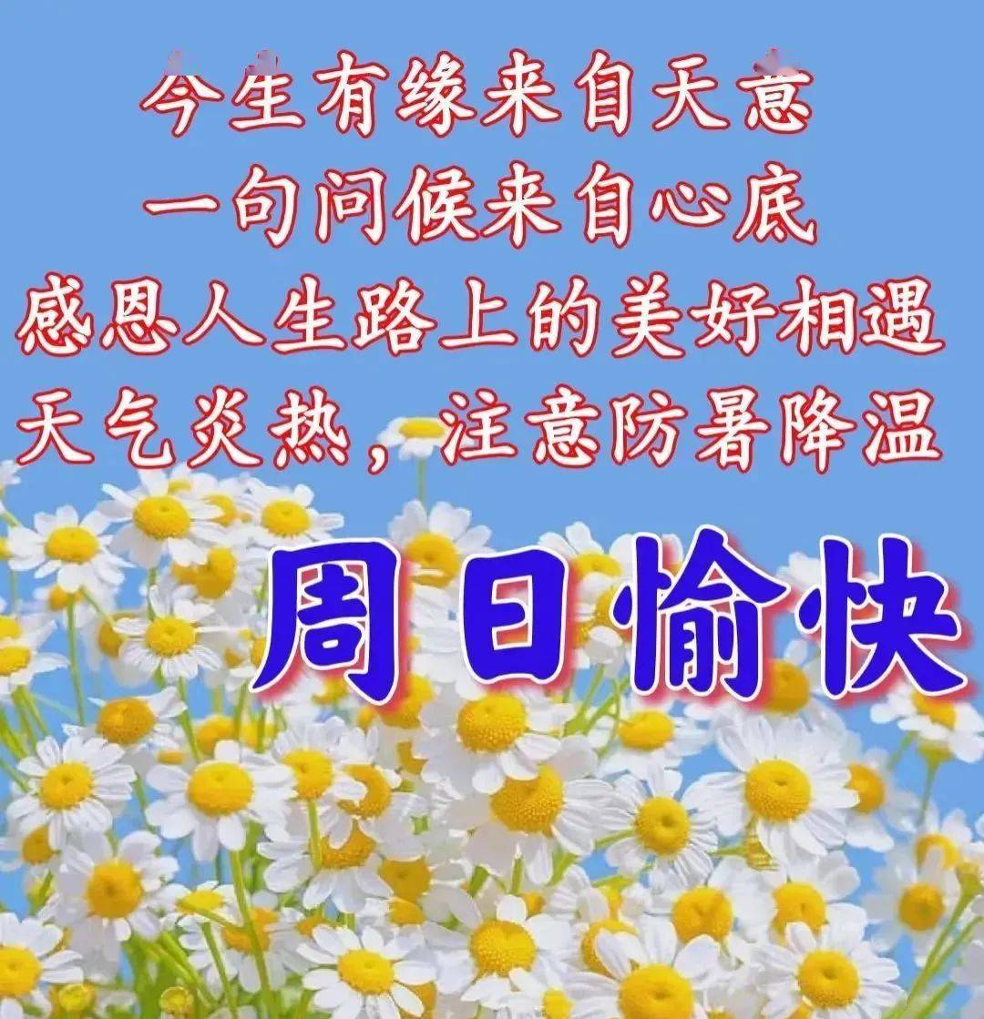 天热早安图片大全图片