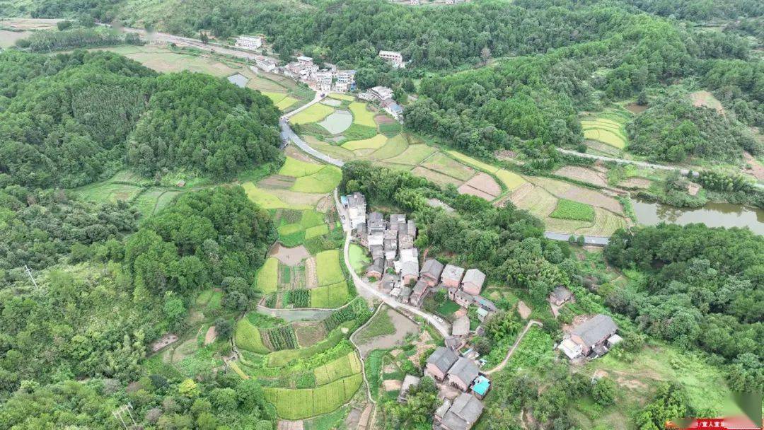 打好高质量"发展六仗" | 白石渡镇高龙桥村:"田长制" "田保姆" 助推