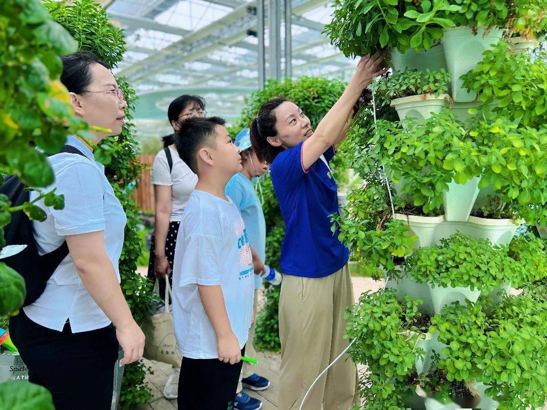 教师节 | 敬谢师恩,爱思嘉对老师免费开放_嘉年华_农业_活动