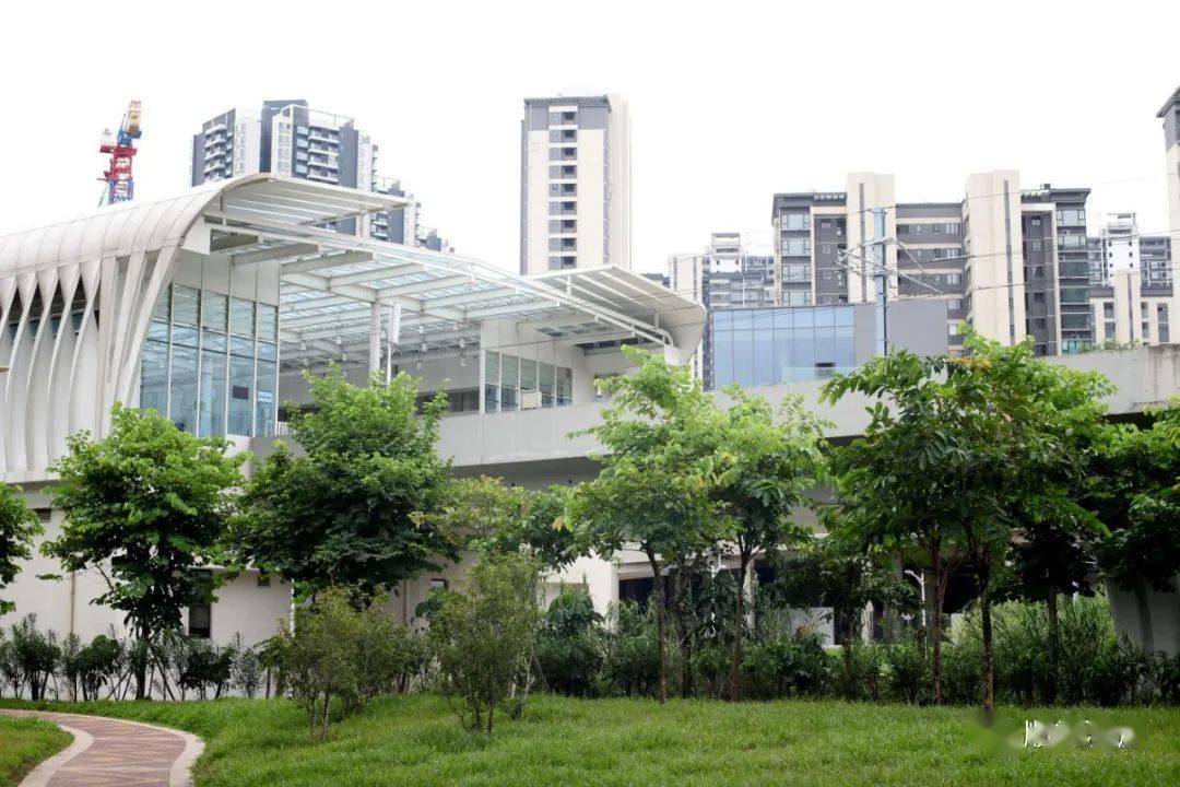 南海有轨电车1号线_地铁_林岳_新城