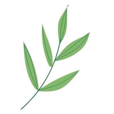 招聘!"绿美妈妈岗"向您招手~_工作_回收_岗位