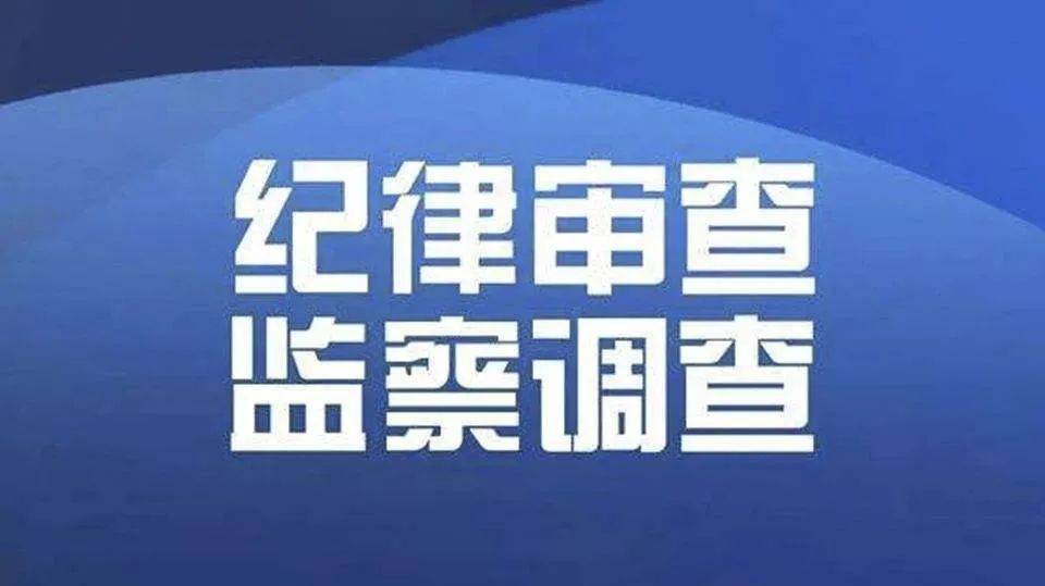 得知被人举报,国企原董事长竟“扎小人”报复举报人...当地流传:进他家门,需要20万元敲门砖!_杨春晓_组织_酉阳县