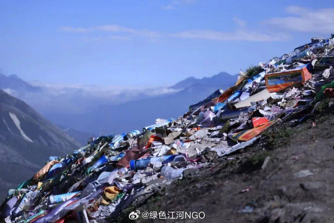 以坚持致敬坚持,天天正能量10年"第一奖"致敬"盼江绿"_绿色_杨欣_江河