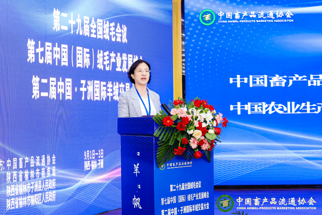 陕西省榆林市子洲县委书记封杰表示,当前,子洲县正在全力打造以子洲为