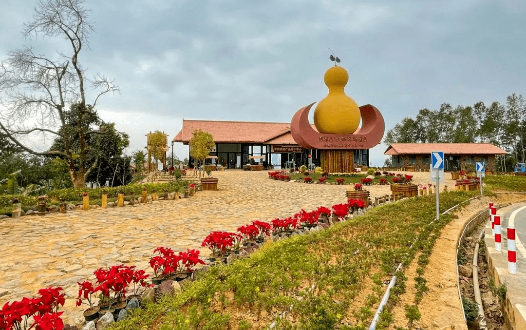 67醉美临沧|沧源:推窗可见绿 出门即入园_建设_视频_环境