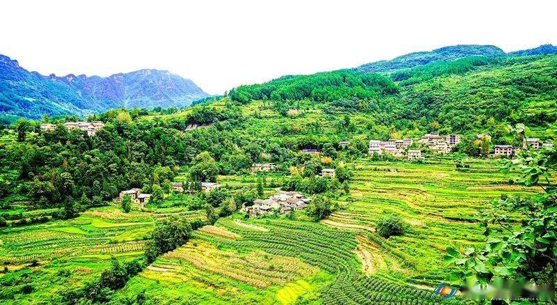 赛马比拼抓落实|今天,一起走进山王坪镇,探寻"一等奖"背后的秘密!